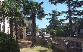 Apartment Zlata Vrcevan