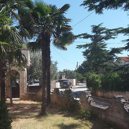 Apartment Zlata Vrcevan Medolino Esterno foto
