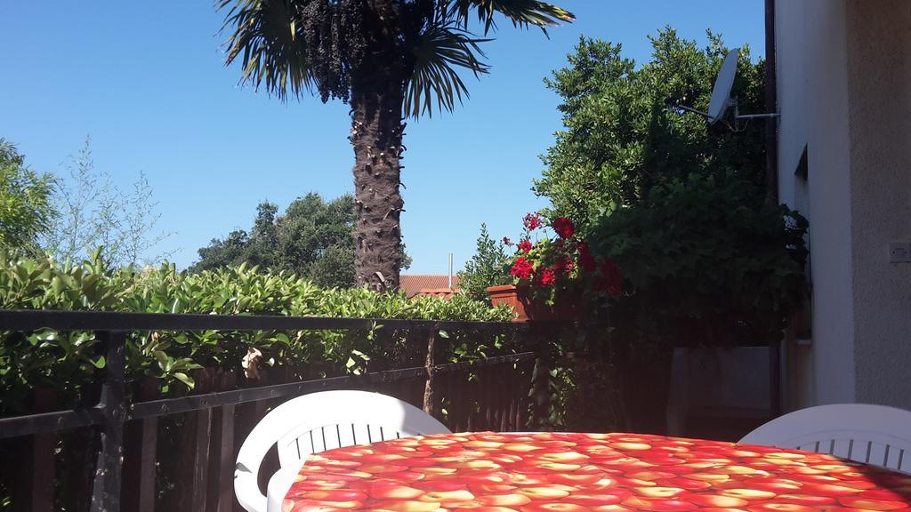 Apartment Zlata Vrcevan Medolino Esterno foto