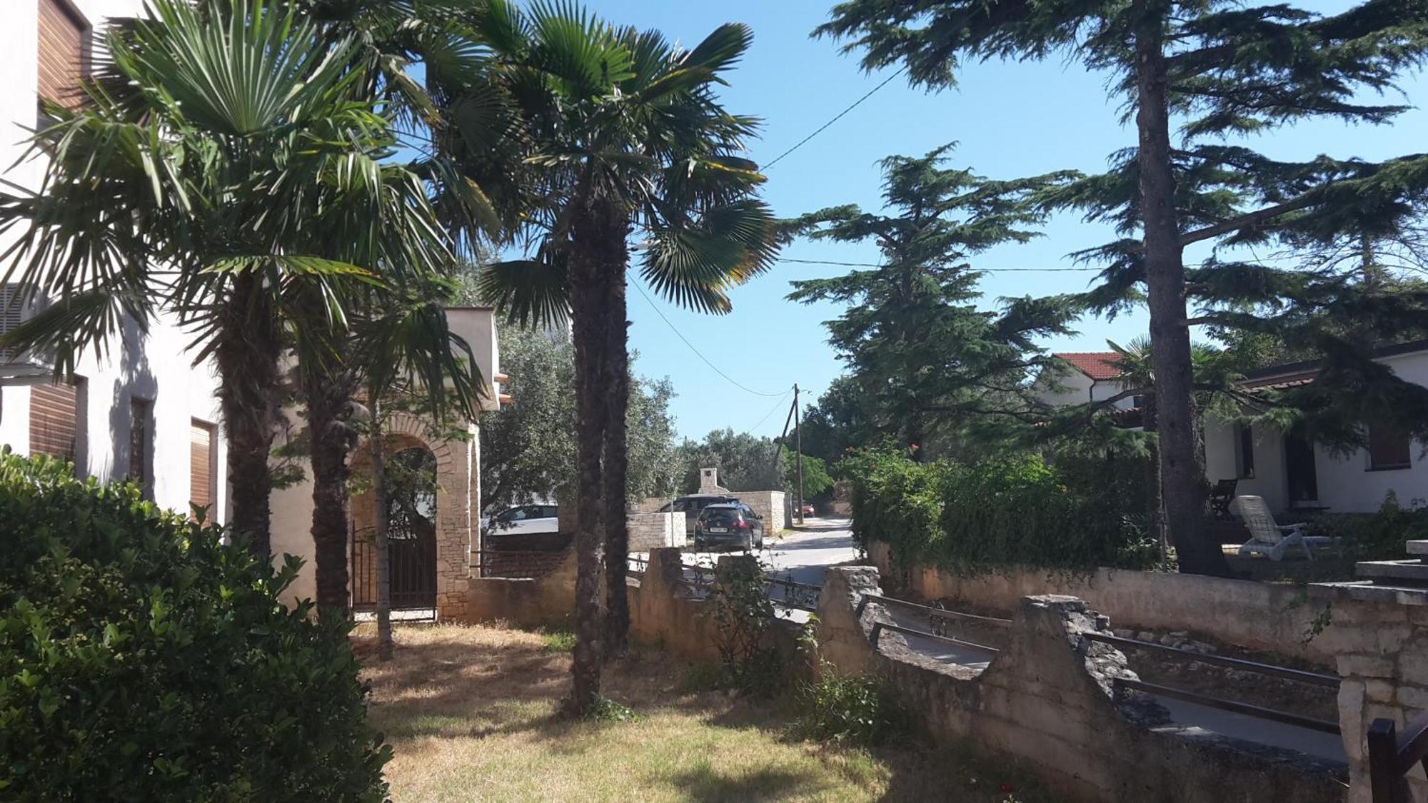 Apartment Zlata Vrcevan Medolino Esterno foto